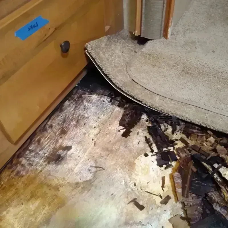 Wood Floor Water Damage in Sudden Valley, WA